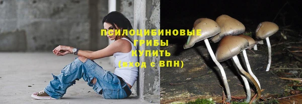 apvp Баксан