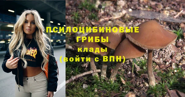 стафф Белокуриха